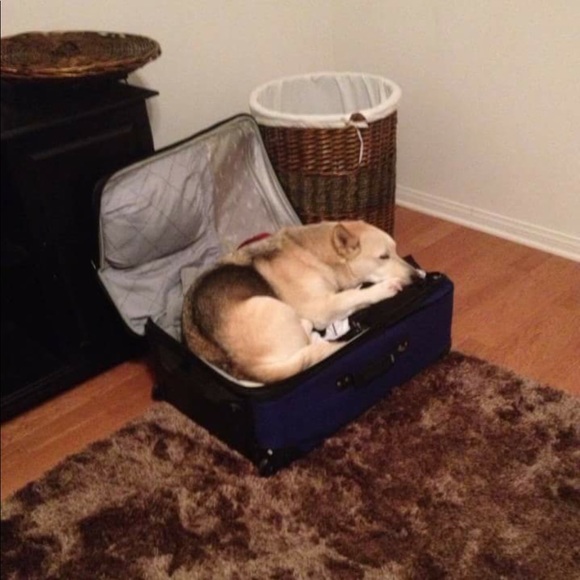 Meet your Posher, Ruth - Picture 4 of 6